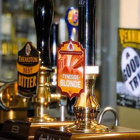 Horseshoe Egton